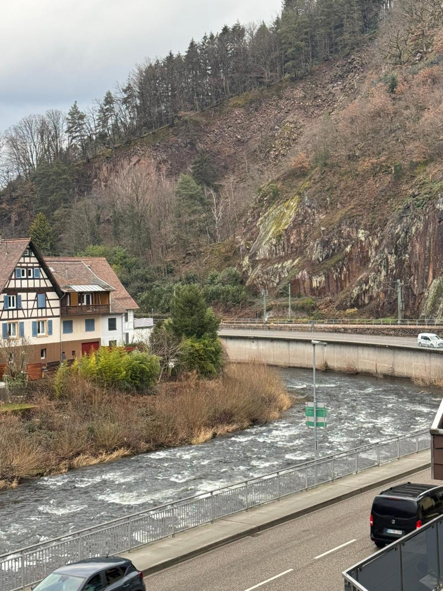 Hotel Gruener Baum - Hotel Im Murgtal, Schwarzwald 바인센바크 외부 사진